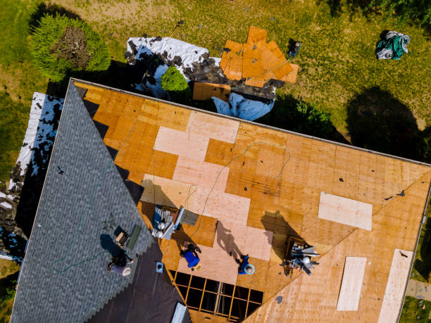 Best Roof Gutter Cleaning  in Corning, CA
